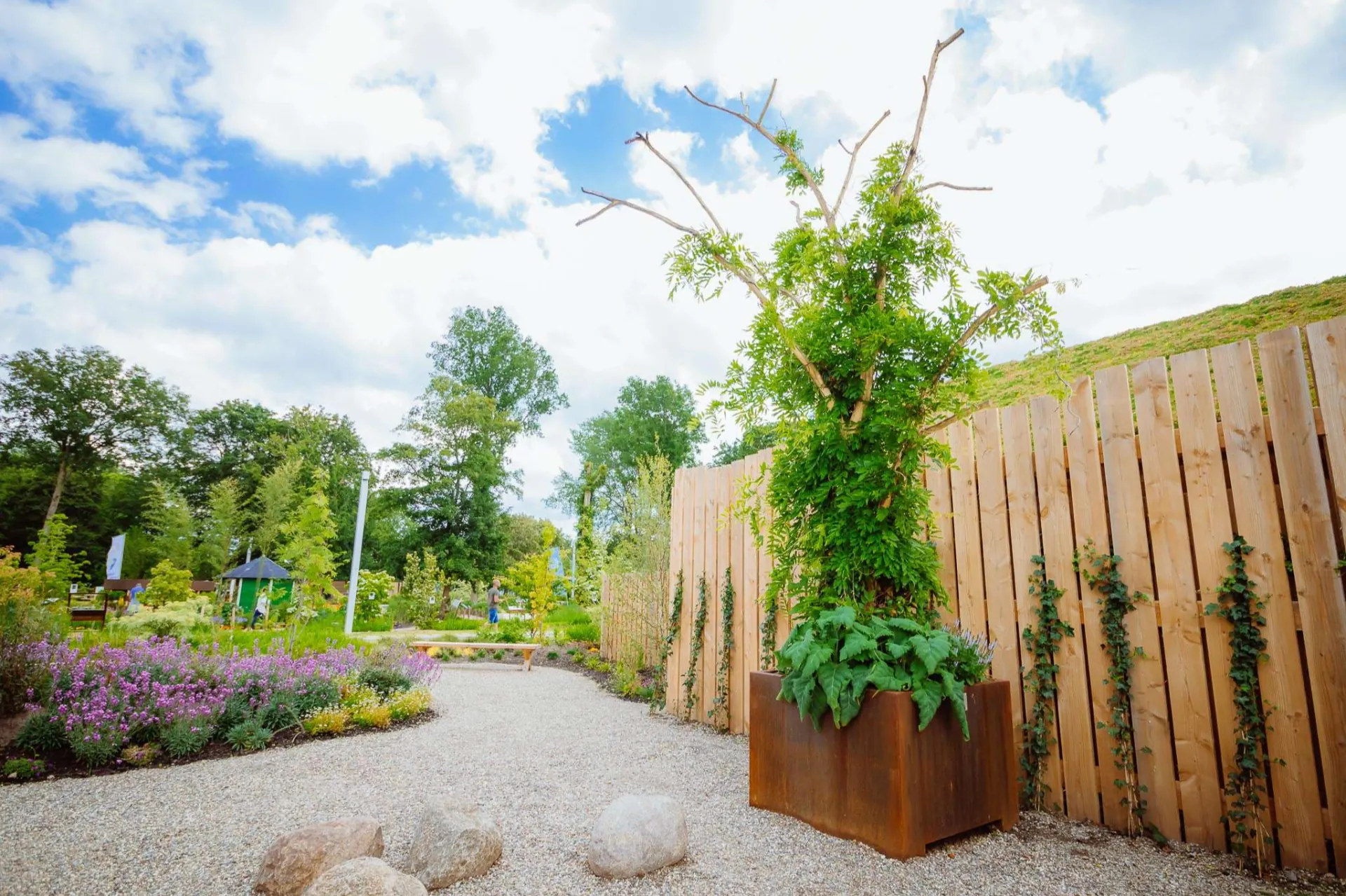 Een Urban Tree tegen een houten schutting