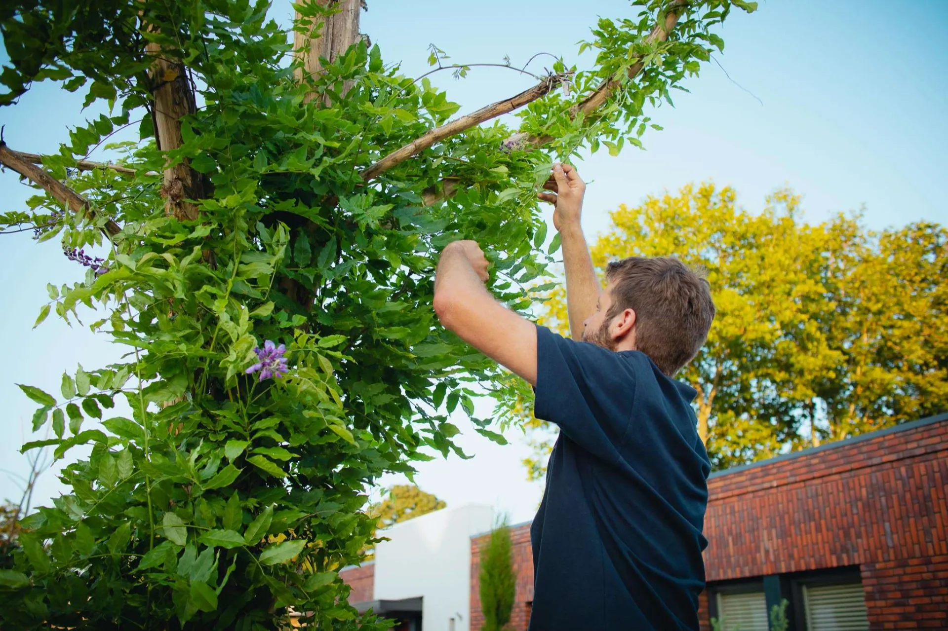 Chris Meeuwsen verzorgt een Urban Tree