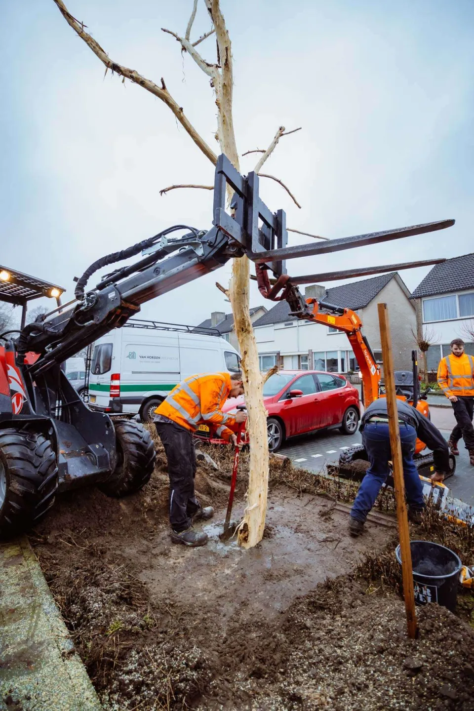 Een Urban Tree wordt verankert in de grond
