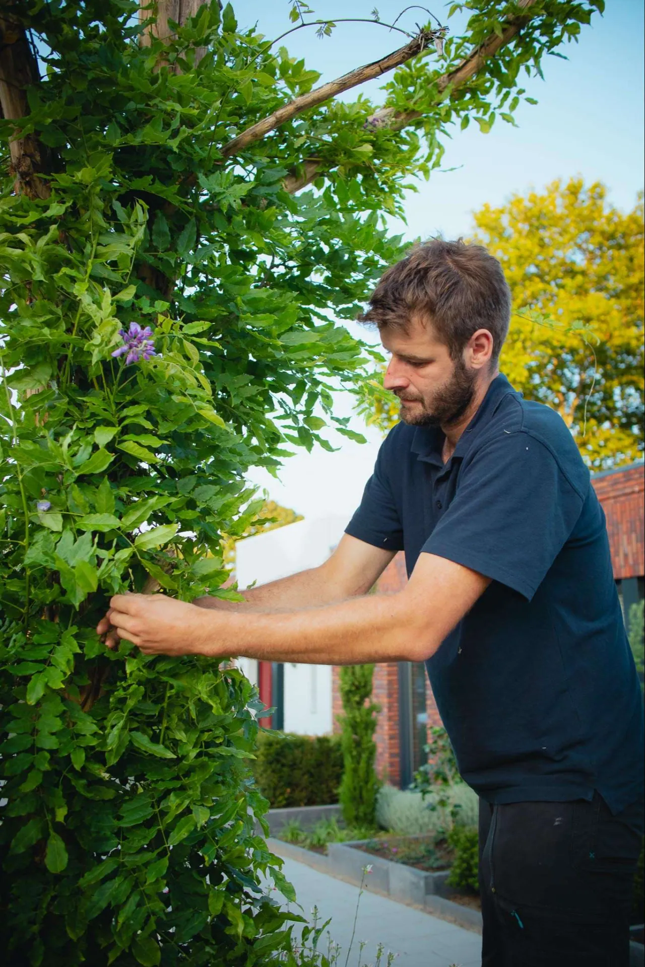 Chris Meeuwsen verzorgt een Urban Tree